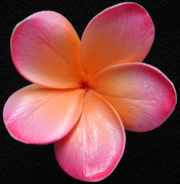 Real touch artificial frangipani wedding bouquets - Eternal Bouquets