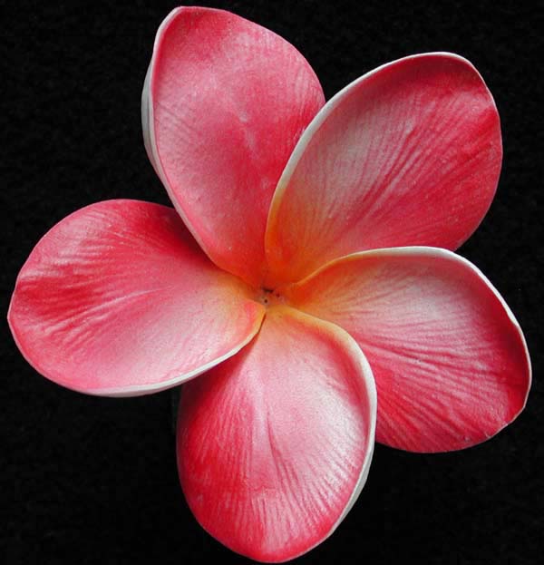 Real touch artificial frangipani wedding bouquets - Eternal Bouquets
